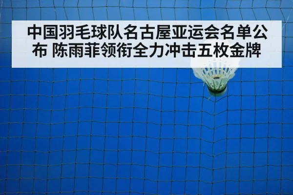 badminton shuttlecock on court